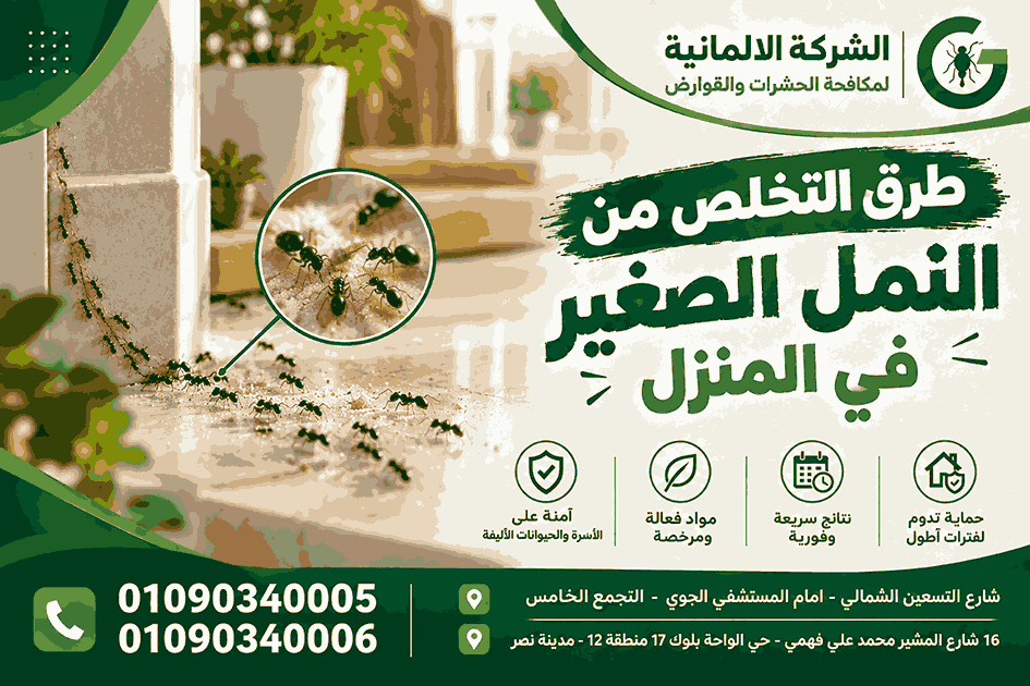 طرق التخلص من النمل الصغير في المنزل | كيف تصل للعش وتمنع عودته؟ 01090340005