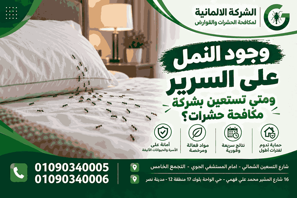 وجود النمل على السرير: من أين يصل وكيف تتعامل معه نهائيا؟