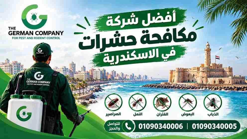 شركة مكافحة حشرات في الإسكندرية لجميع الحشرات والاغراض