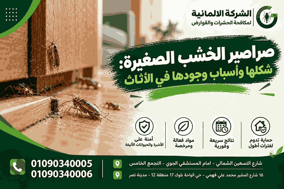 صراصير الخشب الصغيرة: شكلها وأسباب وجودها في الأثاث الشركة الالمانية
