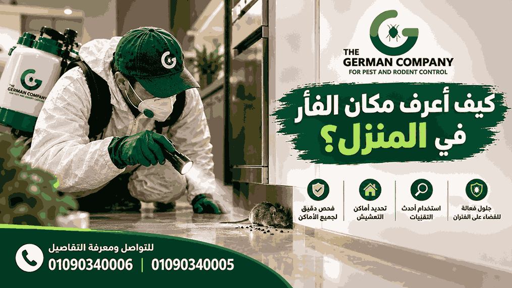 كيف أعرف مكان الفأر في المنزل؟  6 خطوات فعالة من الشركة الالمانية