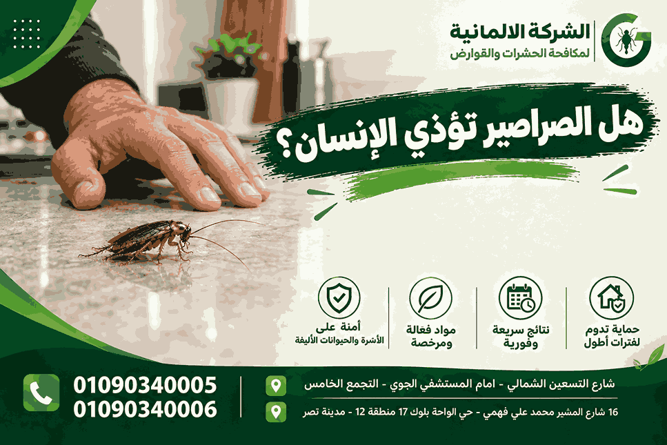هل الصراصير تؤذي الإنسان- الشركة الالماينة لمكافحة الحشرات