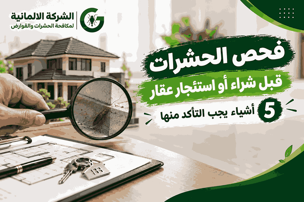 فحص الحشرات قبل شراء أو استئجار عقار: 5 اشياء يجب التاكد منها